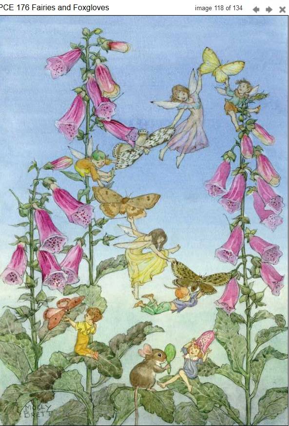 Medici Molly Brett, Fairies and Foxgloves, PCE 176