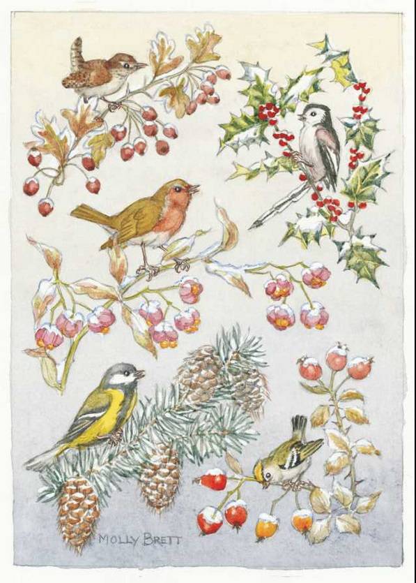 Medici Molly Brett, Five different birds on five different branches PCE 149