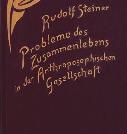 Rudolf Steiner, GA 253 Probleme