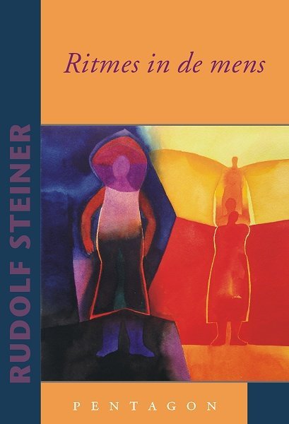 Rudolf Steiner, Ritmes in de mens