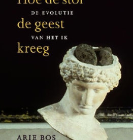 Arie Bos, Hoe de stof de geest kreeg