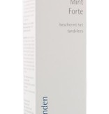 Dr. Hauschka Tandpasta Mint Forte 75 ml
