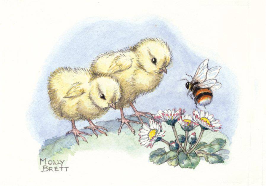 Medici Molly Brett, Two Chicks meet a Bee  PCE 221