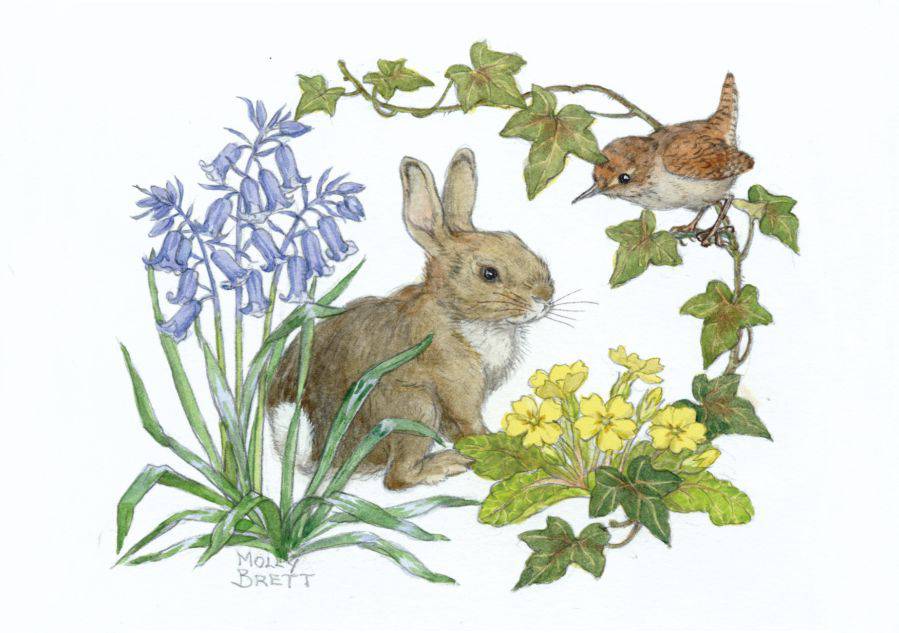 Medici Molly Brett, Rabbit and wren with bluebells and primroses  PCE 224