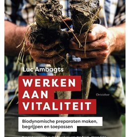 Luc Ambagts, Werken aan vitaliteit