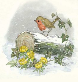 Molly Brett, Winter robin PCE 195