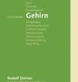 Rudolf Steiner, Stichwort Gehirn