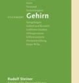 Rudolf Steiner, Stichwort Gehirn