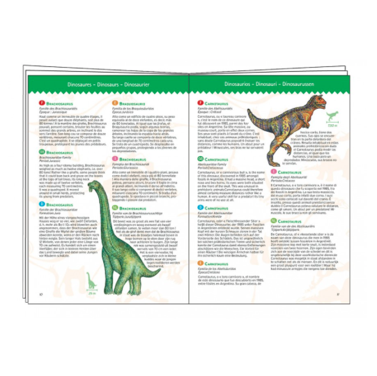 Djeco Djeco Observatiepuzzel - Dinosaurussen 100pcs 5y+