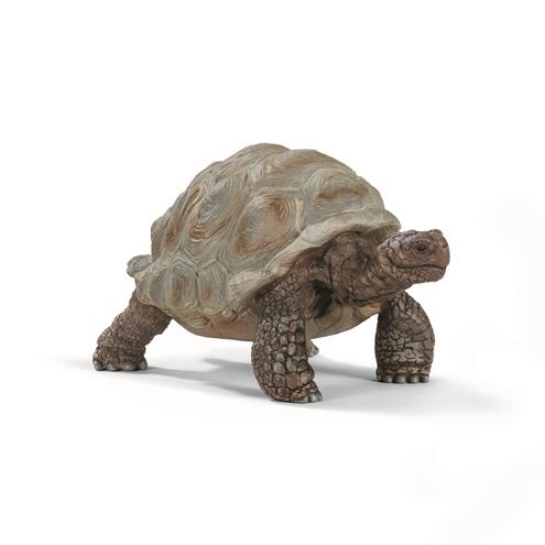 Reuzenschildpad, Schleich 14824