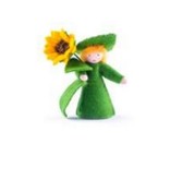 Roemeense Vingerpopjes Zonnebloem jongen met losse bloem Sunflower