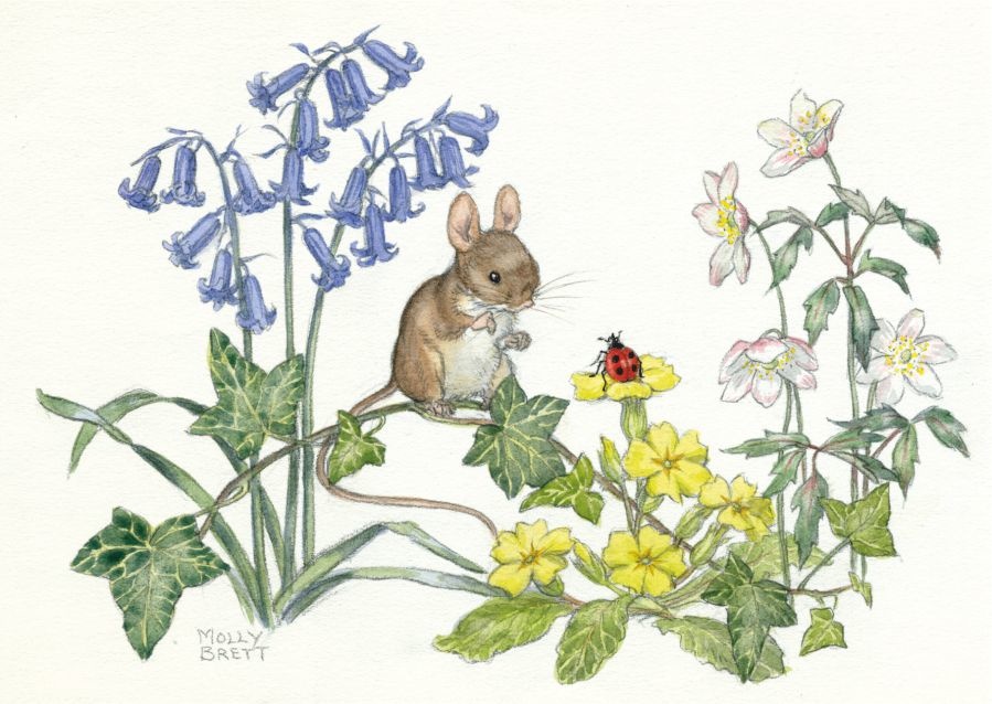 Mollie Brett, Mouse on Ivy Looking At Ladybird On Primrose PCE 287