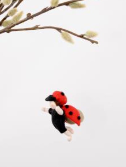 Roemeense Vingerpopjes Lieveheersbeestje Jongen/Ladybird Boy