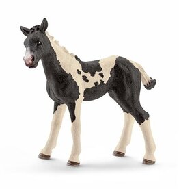 Pinto veulen Schleich 13803