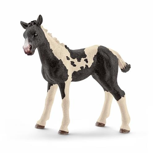 Pinto veulen Schleich 13803