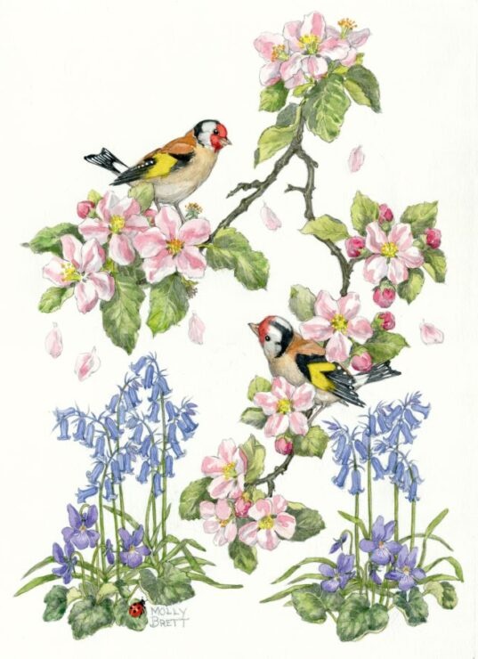 Molly Brett,  Goldfinches, blossom, bluebells and violets (PCE 310)