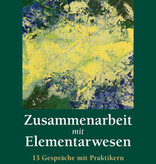 Thomas Mayer, Zusammenarbeit mit Elementarwesen - 13 Gespräche mit Praktikern