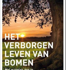 Peter Wohlleben, Verborgen leven van bomen