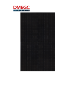DMEGC DMEGC 395 Wp Full Black Half Cell