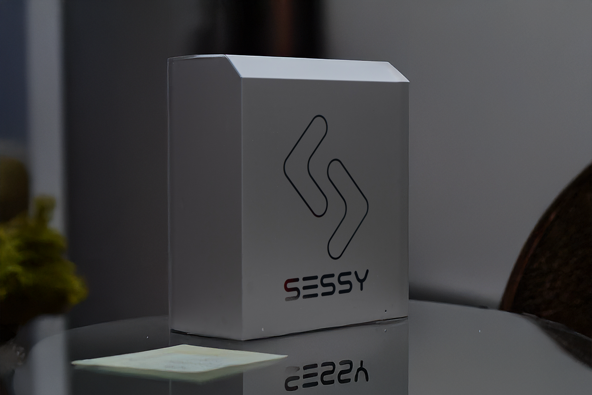 De Nederlandse Sessy slimme thuisbatterij 5kWh in het Zwart