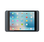 Dame Wall iPad 10.2  antraciet