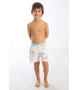 Zwembroek jongens - Mermaid fish
