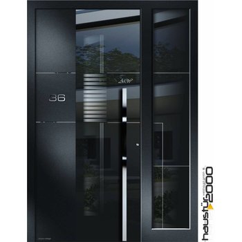 Aluminum door CW 458 SF