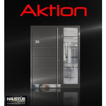 Haustür2000 Aluminium door action model SF5