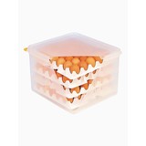 Eierbewaardoos kunststof incl. 8 eierhouders 20(H)x35,4x32,5cm 120 eieren
