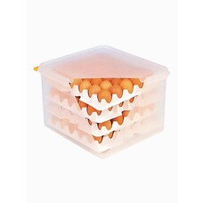 Eierbewaardoos kunststof incl. 8 eierhouders 20(H)x35,4x32,5cm 120 eieren
