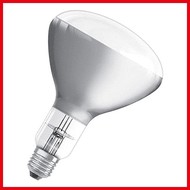 Warmtelamp  250W – glas – wit