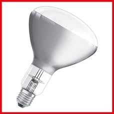 Warmtelamp  250W – glas – wit
