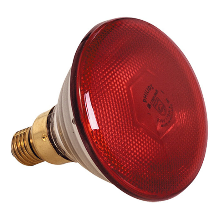 EMGA Warmtelamp  175W – glas – rood