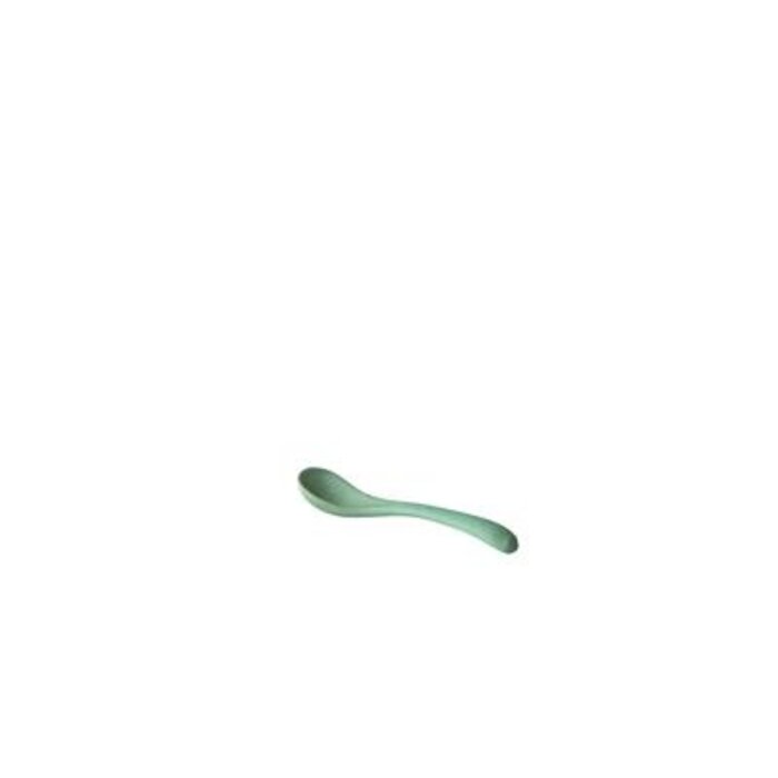Peper en zout kleine lepel – per 12 stuks