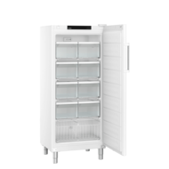 Liebherr Gastronomie diepvrieskast FFFsg 5501/740 Performance 181,8X74,7X76,9