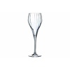 Chef & Sommelier Symetrie champagneglas 16cl doos à 6