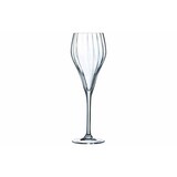 Symetrie champagneglas 16cl doos à 6