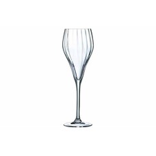 Symetrie champagneglas 16cl doos à 6