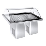 Gekoelde visvitrine 1.9