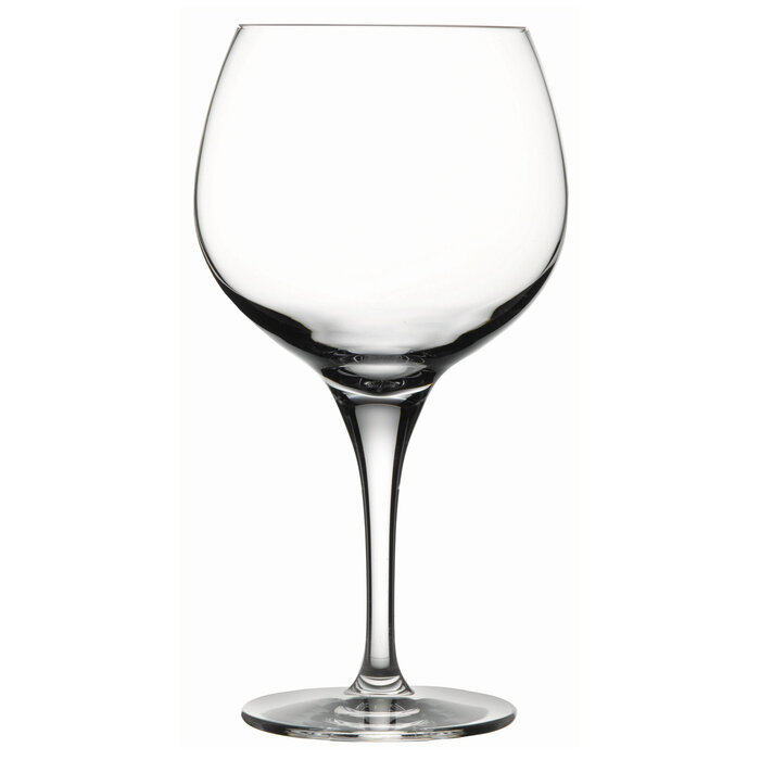 Stylepoint Primeur bourgogne wijnglas 600 ml – per 6 stuks