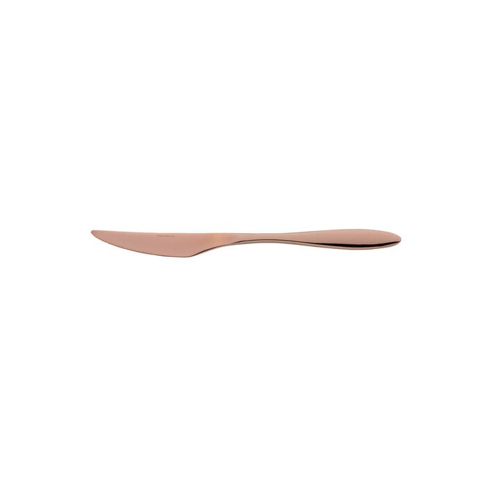 Stylepoint Gioia Matt Bronze 18/10 tafelmes 22,7 cm – per 12 stuks