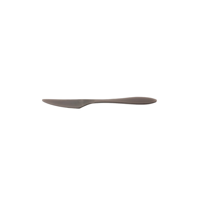 Stylepoint Gioia Gun Metal 18/10 dessertmes 19,8 cm – per 12 stuks