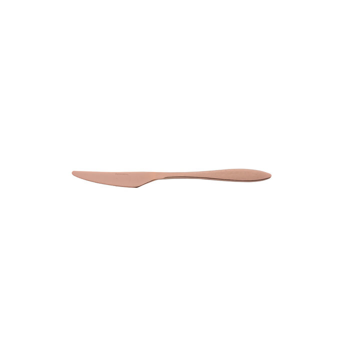 Stylepoint Gioia Matt Bronze 18/10 dessertmes 19,8 cm – per 12 stuks