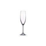 Colibri champagneglas 220 ml – per 6 stuks