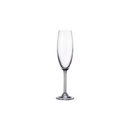 Colibri champagneglas 220 ml – per 6 stuks