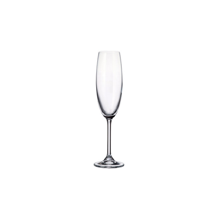 Stylepoint Colibri champagneglas 220 ml – per 6 stuks