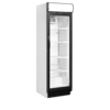 TEFCOLD Flessenkoeler CEV425CP 2 LED