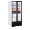 TEFCOLD Displaykoeler FS890H