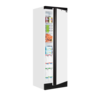 TEFCOLD Opslagkoeler SD1380