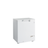 TEFCOLD Diepvrieskist FR205 SL